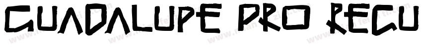 Guadalupe Pro Regula字体转换